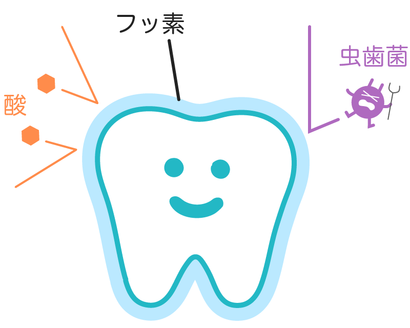 大人にもフッ素が良い理由